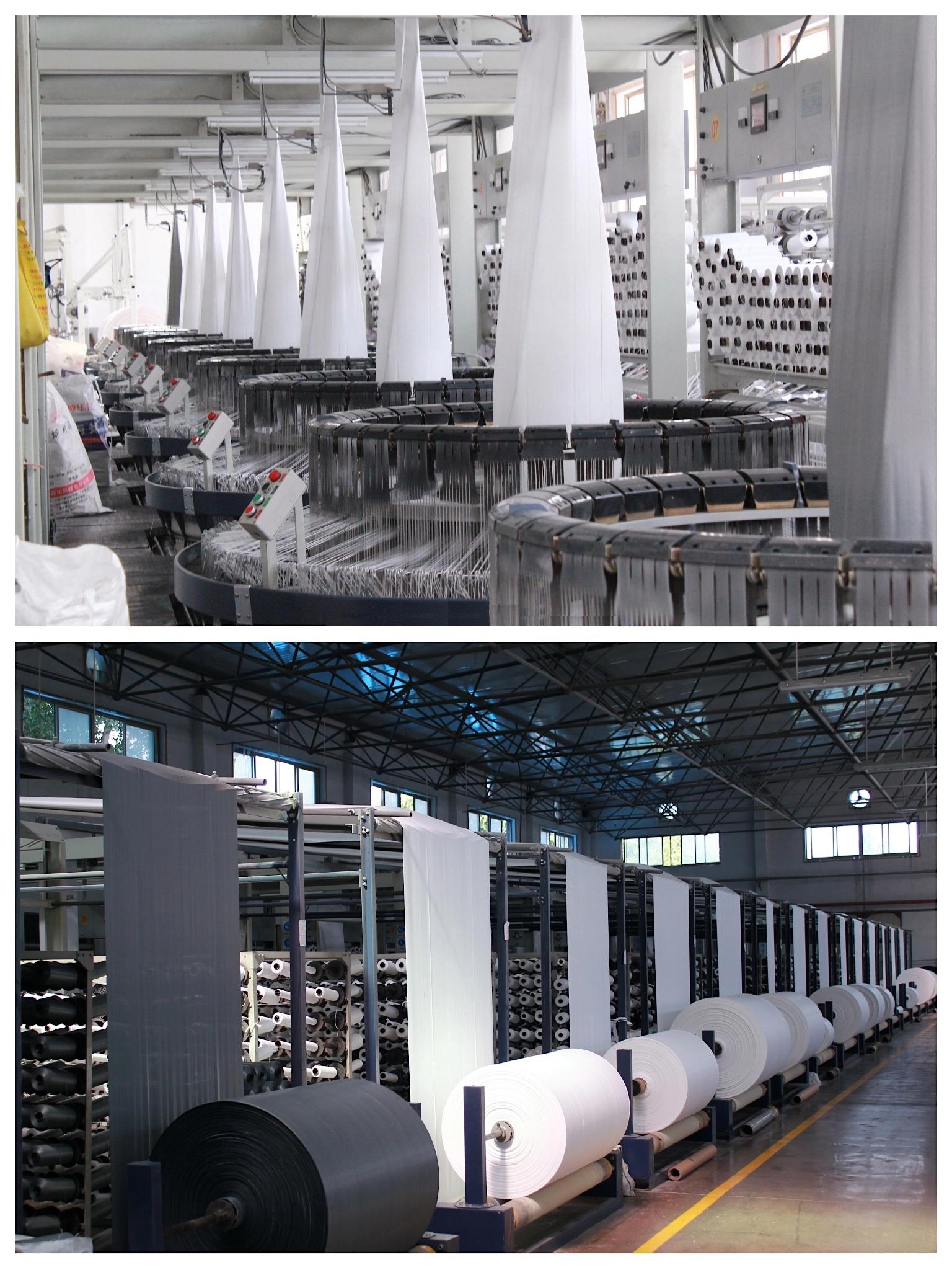 Loom machine for fabric weaving